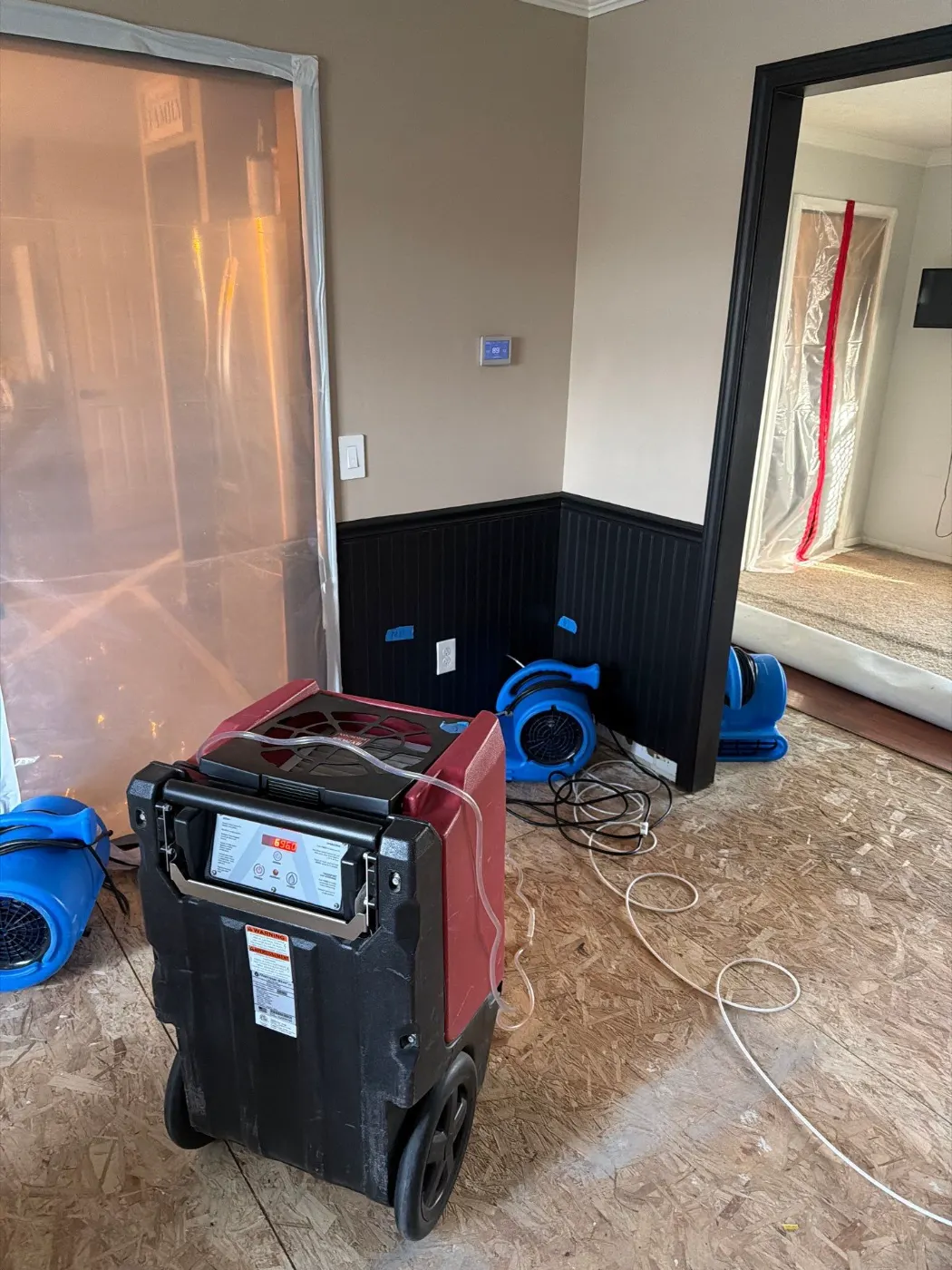 Category 3 sewage cleanup in Hawthorns basement
